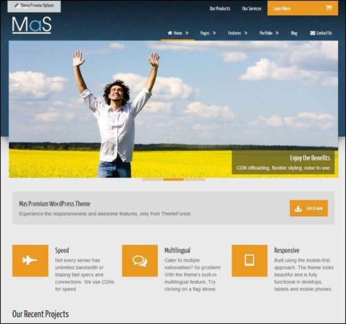 MaS-new-wordpress-themes