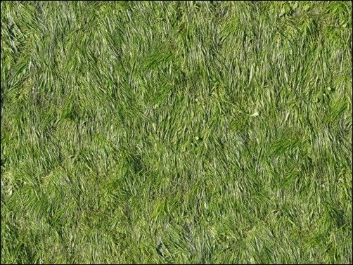 Matted-Grass-Texture-grass-textures-