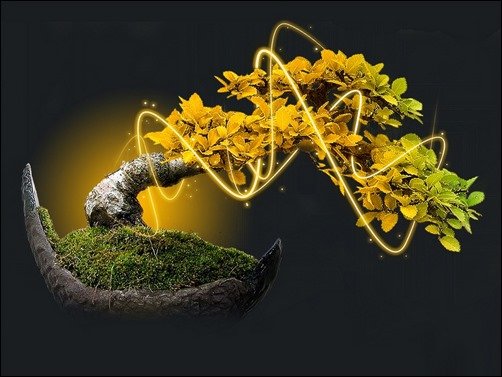 Neon-Bonsai-bonsai-wallpaper
