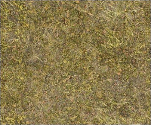 Partly-Dry-Yellow-Grass-free-grass-texture
