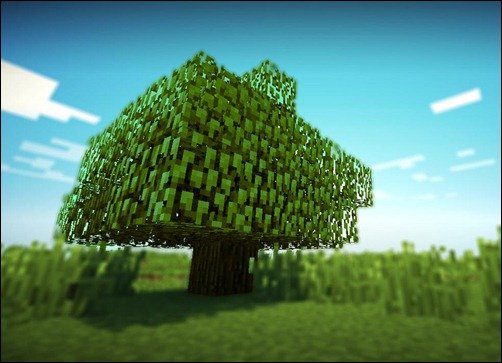 Tree-in-the-Plains