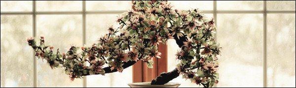40+ Incredible Bonsai Wallpaper Designs