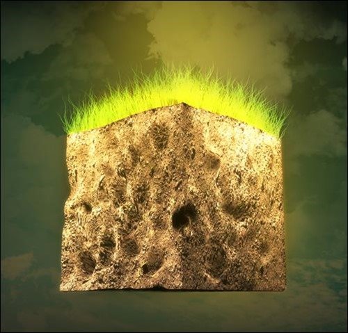 grass