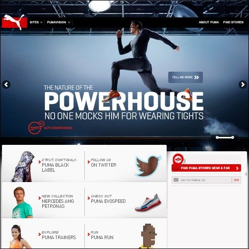 puma