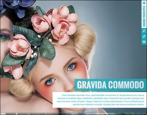 hq wordpress video theme