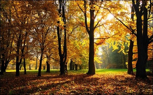 Autumn-Season-cool-wallpapers Autumn-Season-cool-wallpapers