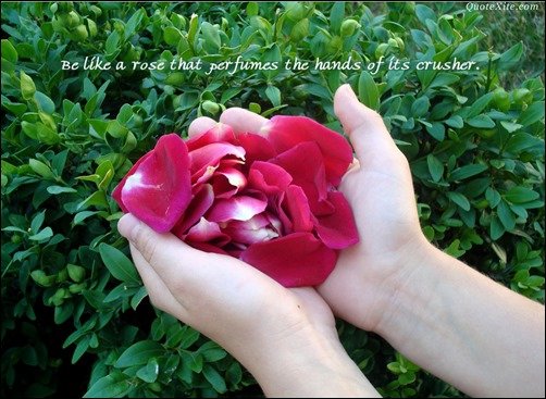 Be a Rose