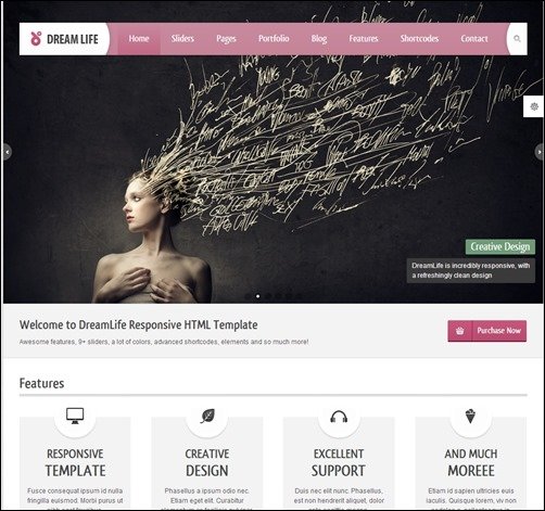 Dreamlife-new-wordpress-themes