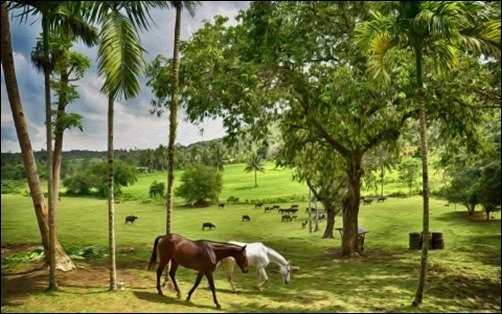 Happy-Farm-cool-wallpapers Happy-Farm-cool-wallpapers