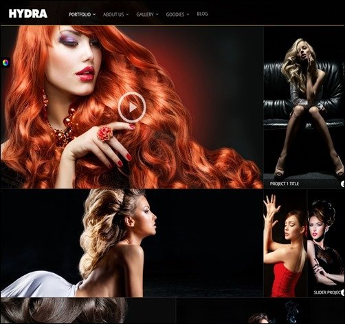 Hydra-new-wordpress-themes