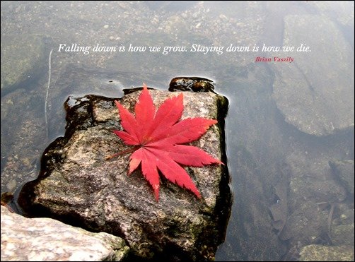 On Falling Down