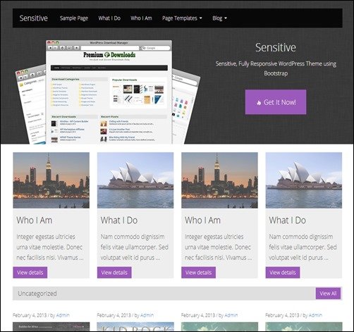 Sensitive-new-wordpress-themes