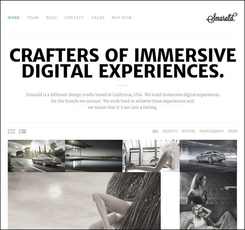 Smarald-wordpress-theme