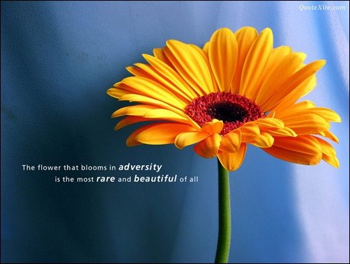 The Flower That Blooms in Adversity