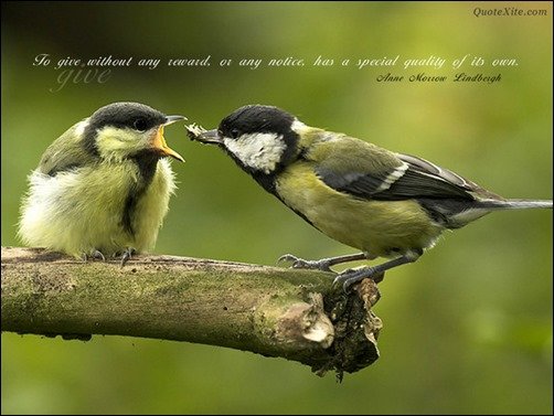 To Give Without Any Reward