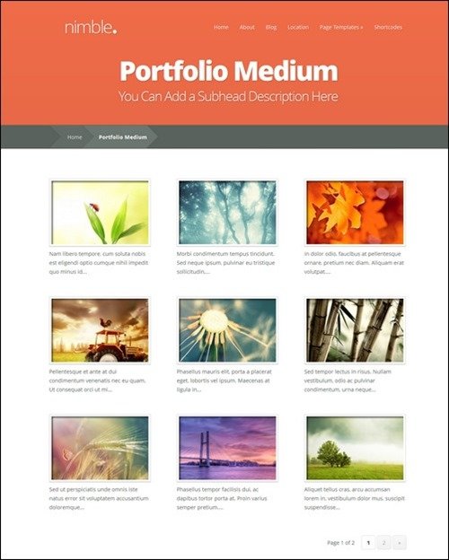 nimble-portfolio-theme