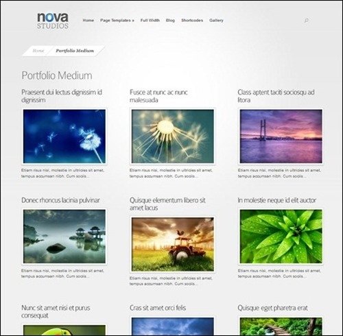 nova-wordpress-portfolio-theme