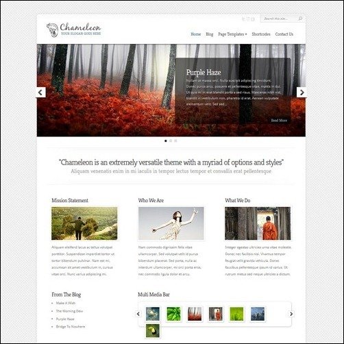 004-WordPress-Business-Themes31