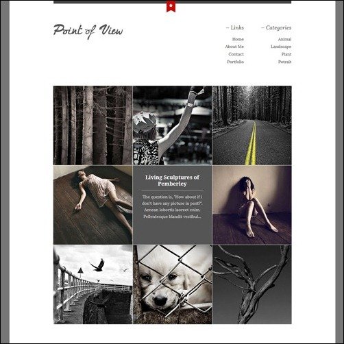 Point Of View Blogger Templates