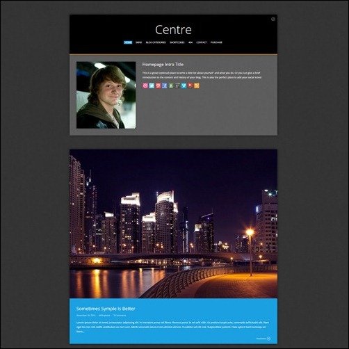 Centre WordPress Metro Themes