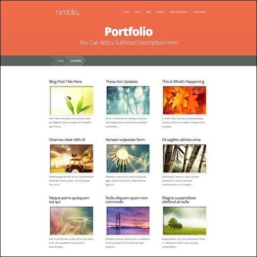 019-Photography-Website-Templates3
