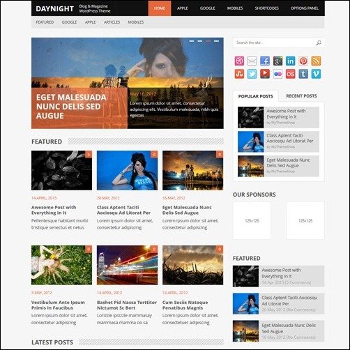 DayNight WordPress Metro Themes