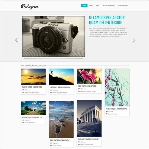 104-WordPress-masonry-theme3