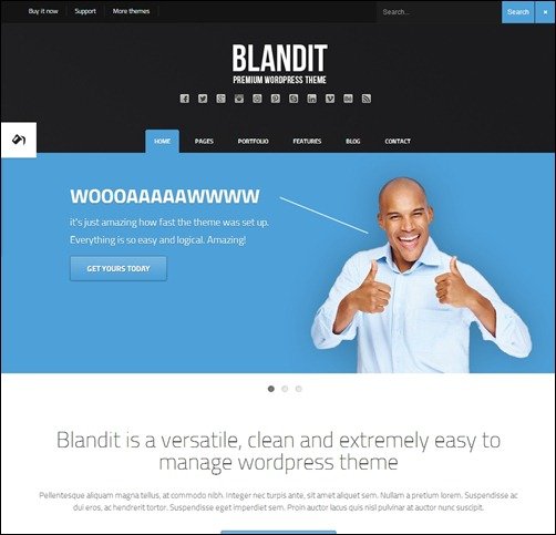Blandit wordpress themes