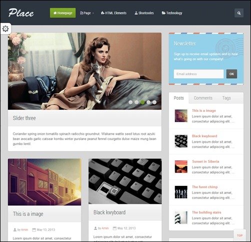 Place latest wordpress themes