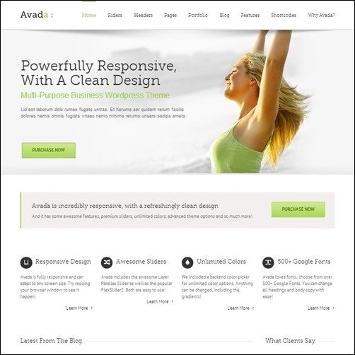 avada-responsive-theme