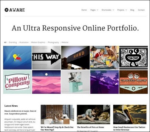 aware wordpress video theme