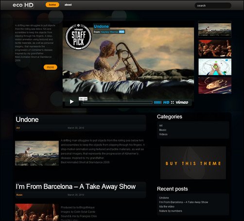 ecohd wordpress video theme