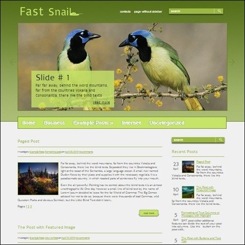 fastsnail