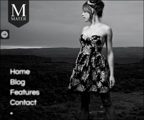 mater wordpress video theme