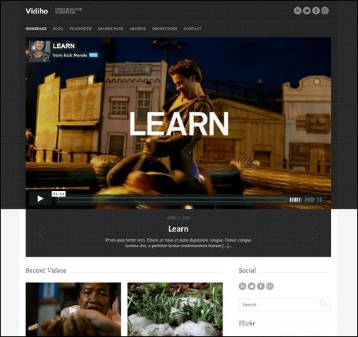 vidiho wordpress video Theme