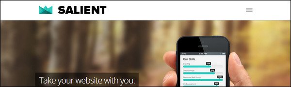 25+ Useful WordPress Mobile Themes – Need A Mobile-Ready Website?
