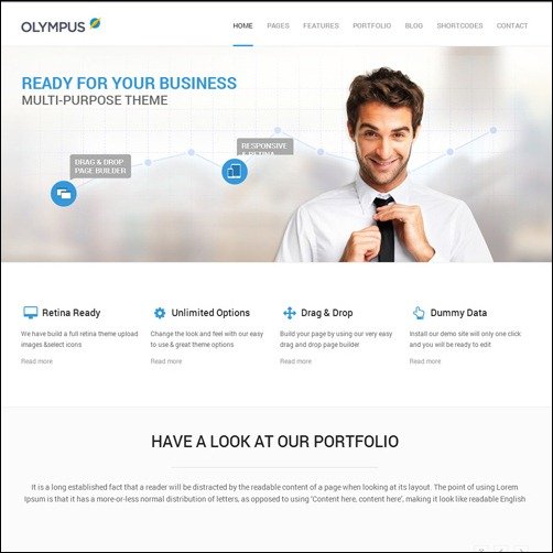 010 WordPress business theme