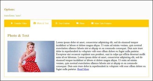 011 jquery accordion plugin