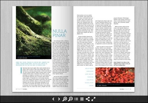 015 page flip effects