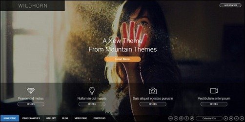 021 WordPress business theme