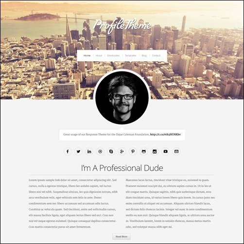 027 WordPress Video Plugins