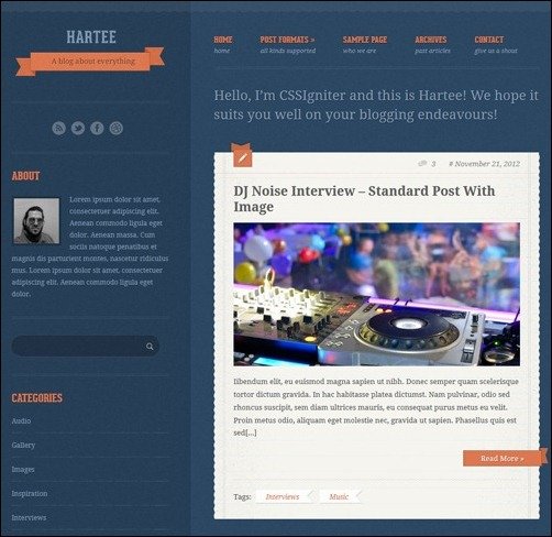 029 WordPress Video Plugins
