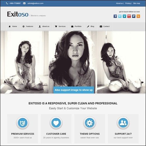 Exitoso Multi-Purpose WordPress Theme