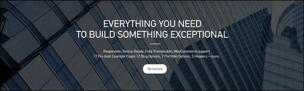 45+ Best WordPress Themes – Want High Quality?