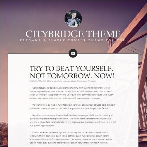 citybridge-retina-tumblr-theme