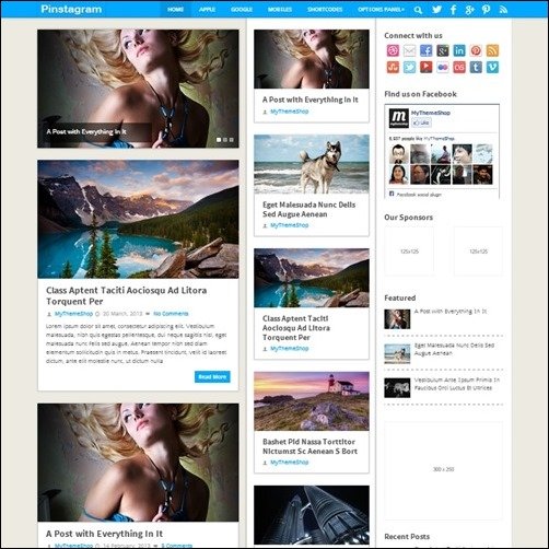 pinstagram-wp-theme