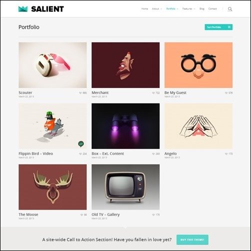 salient-responsive-theme
