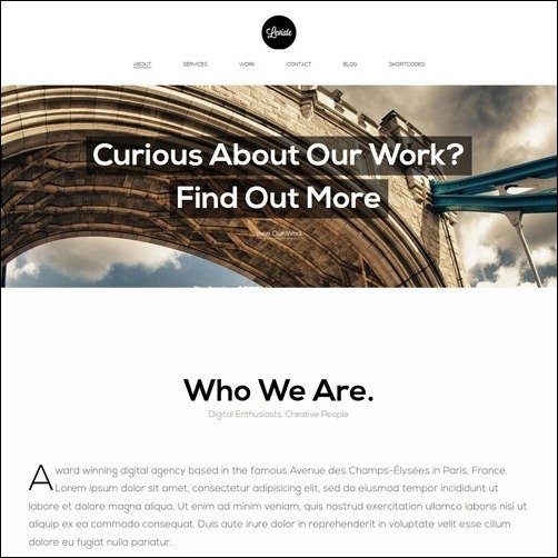 Leviate business website template