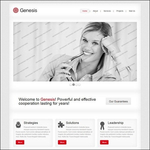 White & Grey Management Company HTML website template