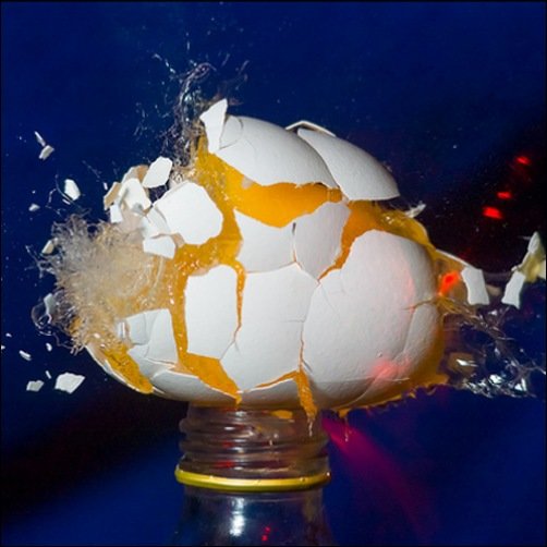 eggshot
